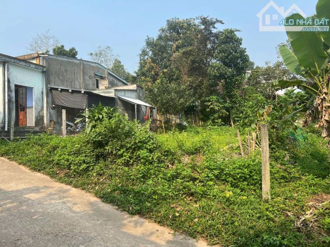 📌📌📌Làm việc trực tiếp!!! bán đất Phú Hoà 1 - Hoà Vang - Đất cao ráo sạch sẽ 🌺l - 1