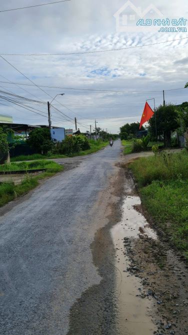 BÁN GẤP ĐẤT AN TỊNH 262m2 ngang 5M dài 52M ĐƯỜNG 4M SHR 520 TRIỆU NGAY SÁT NHÀ DÂN - 1
