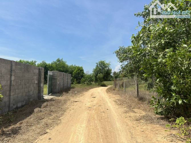 Đất Biển LaGi 1069m2 Tân Tiến, thị xã LaGi gần Biển Tam Tân giá ngộp - 1