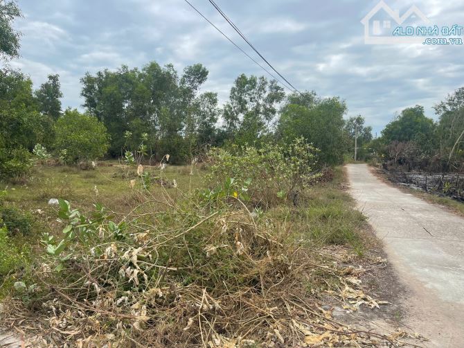 Bán 1912m2 đất ONT Tân Phước - TX LaGi cách Biển 500m giá đầu tư - 1