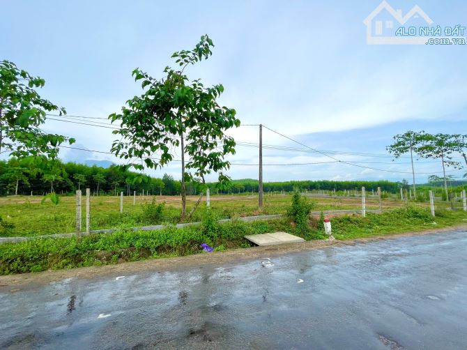 Bán đất 2.059m2 full thổ cư mặt tiền Tỉnh Lộ 8B, Xã Khánh Bình - 1