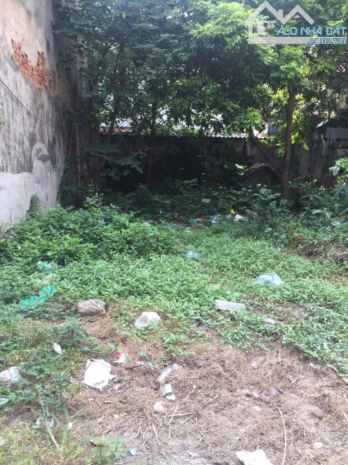 Bán Đất Lô Góc Trung Tâm Đống Đa – Dành Cho Nhà Đầu Tư "Săn" Dòng Tiền Và Gia Tăng Tài Sản - 1