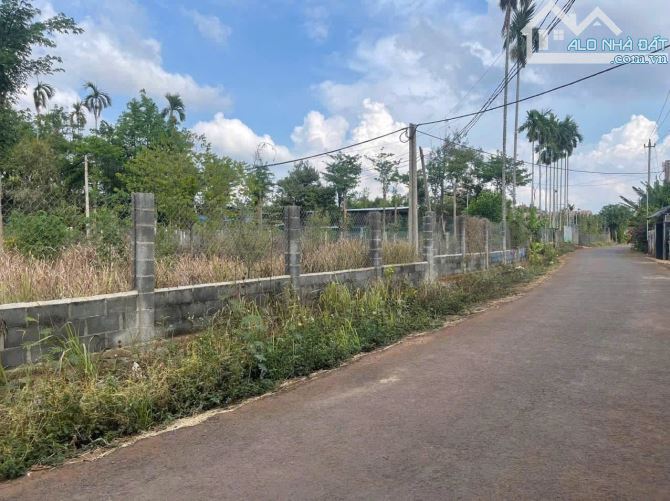 Mặt tiền đường nhựa Hoà Thắng - Hẻm C1 Đại Lộ Đông Tây - 1