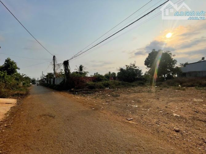 463#Y MOAN, BMT – Diện tích: 473,5m² (ngang 5m × 20m), thổ cư 60m² - 1