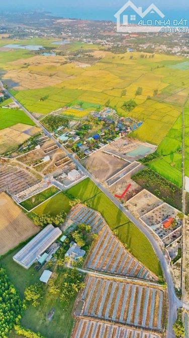 THỊ TRẤN PHƯỚC HẢI - CẠNH BÊN KHU GLAMPING ĐỒNG GIÓ,DT 310m2 -84m2 thổ cư, giá 2ty5 - 1