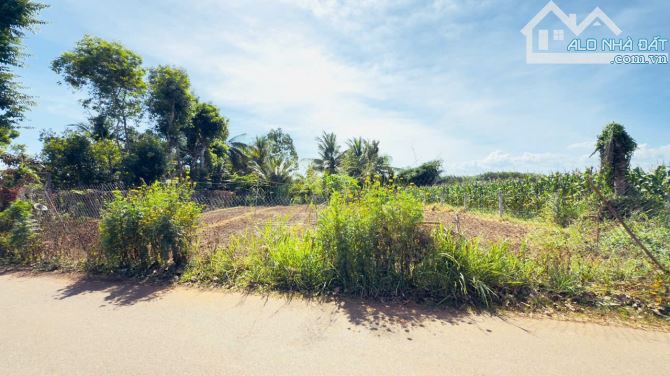 LONG TÂN - LONG ĐẤT - BRVT- ngay gần Tỉnh Lộ 52, khu nhiều nhà vườn ạ - 2