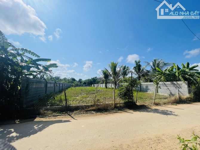 1000m2 Bến Tràm vuông vắn giá 3,6 tỷ - 2