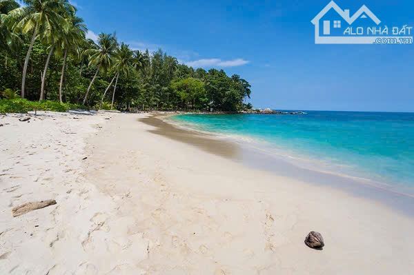 Bán Đất Biển Nguyễn Đình Chiểu- Huỳnh thúc khang - Hoà Bình , Hàm Tiến Mũi Né Phan Thiết - 2