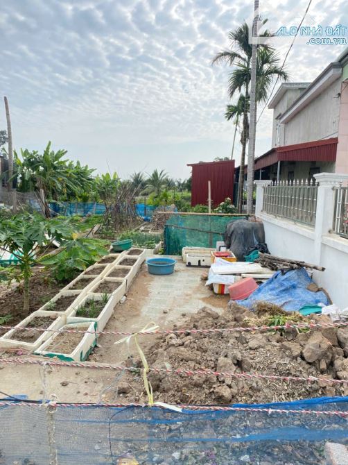 BÁN LÔ ĐẤT 88,9m2 mặt đường quang trung minh đức , đồ sơn ,hp gần khu công nghiệp đồ sơn - 2