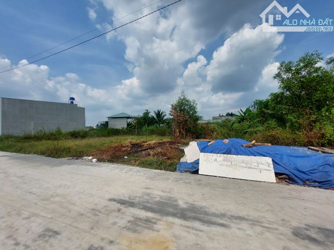Bán đất thổ cư Đức Hòa Hạ, vị trí tiềm năng và gần khu công nghiệp Tân Đức, Hải Sơn - 2