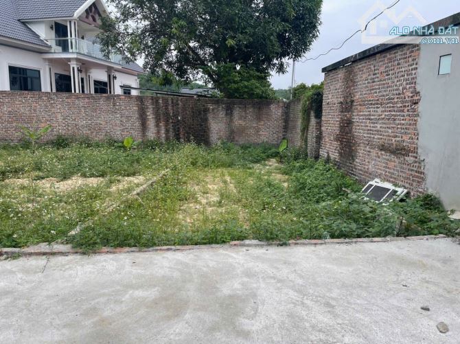 Cần thanh khoản nhanh lô đất 67m2 full thổ cư tại Ninh Môn. Hiền Ninh, Sóc Sơn. - 2