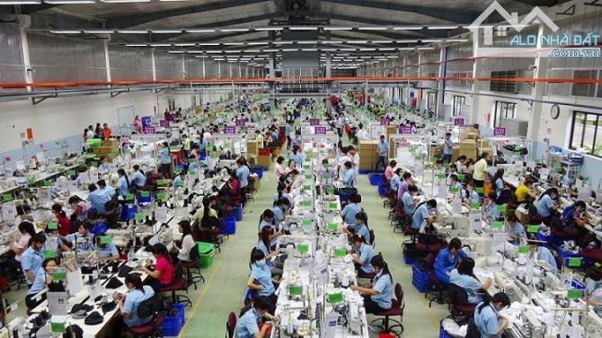 Chỉ với 400 triệu/tháng cho xưởng 3000m² 