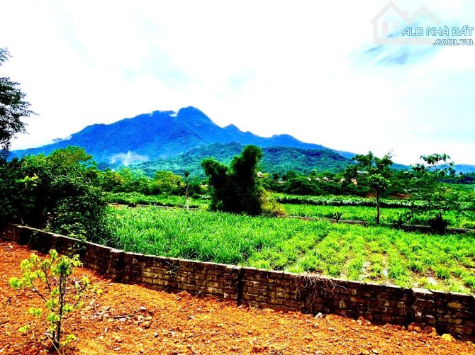 Cần Bán Mảnh Đất Tại Vân Hoà, Ba Vì 1534M2_200m2 Thổ Cư, View Đẹp , Sổ hồng Nở Hậu - 2