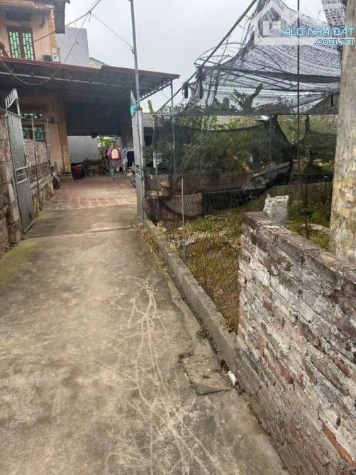 🥳🥳🥳Siêu Phẩm 107,2m2 đất ở tại Đan Kim - Liên Nghĩa - Văn Giang sát cạnh đường Đông Tây - 2