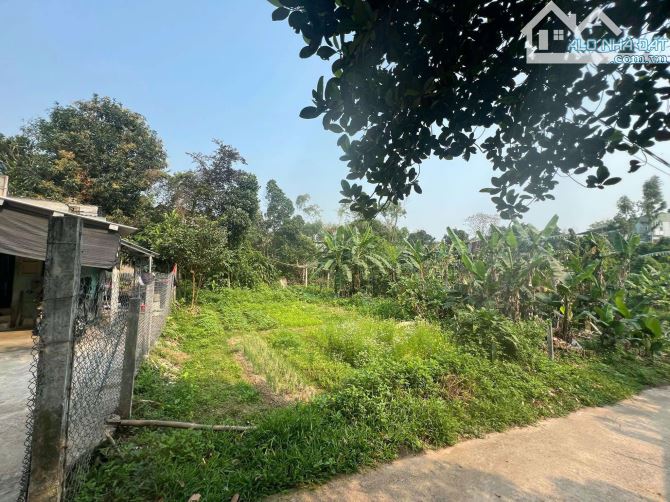 📌📌📌Làm việc trực tiếp!!! bán đất Phú Hoà 1 - Hoà Vang - Đất cao ráo sạch sẽ 🌺l - 2