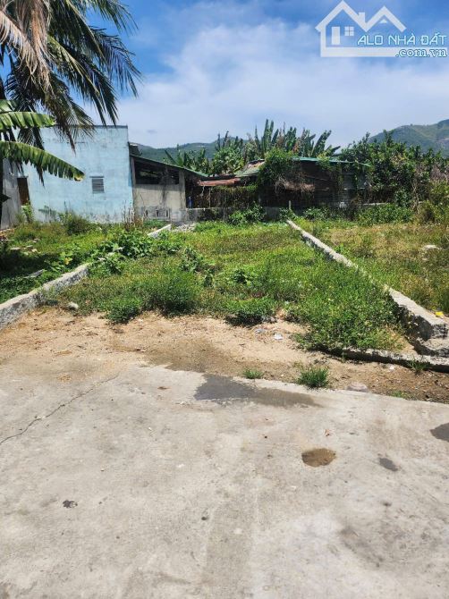 Bán Lô Suối Hiệp Thôn Phú Hậu 112m2 Ful thổ - 2
