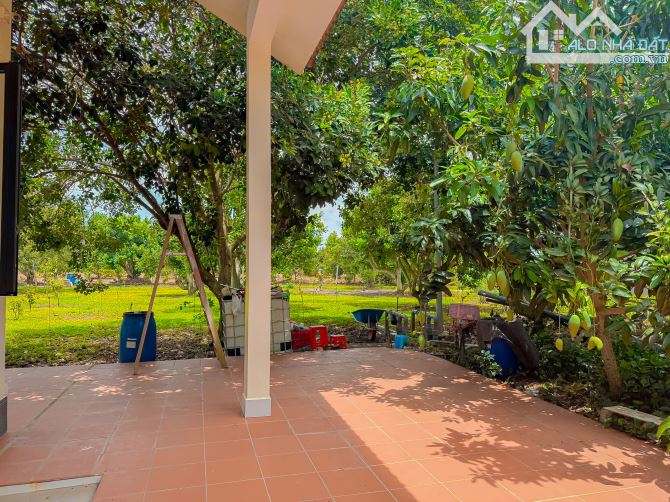 BIỆT THỰ VƯỜN GẦN 1HA, GẦN BIỂN VÀ TP.BÀ RỊA, SẴN THỔ CƯ VÀ VƯỜN CÂY ĂN TRÁI - 2