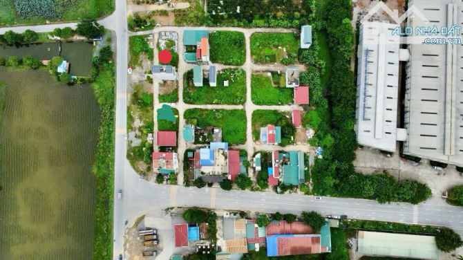 LÔ GÓC 142M2  ĐẤU GIÁ ĐẠI CƯỜNG KINH DOANH BẤT CHẤP - 2