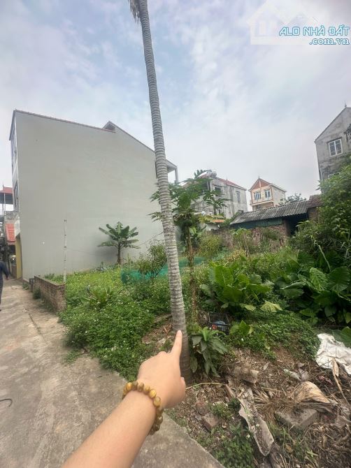 🌟 BÁN LÔ ĐẤT ĐẸP 67m – HỒNG HÀ, ĐAN PHƯỢNG – ĐƯỜNG Ô TÔ – GIÁ CỰC TỐT! - 2