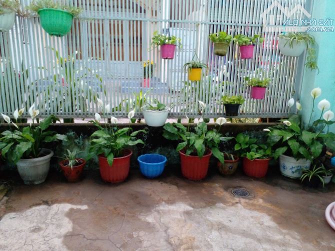 Nhà Đường 5m, Linh Chiểu  Dt 5x17m. C4 - 2