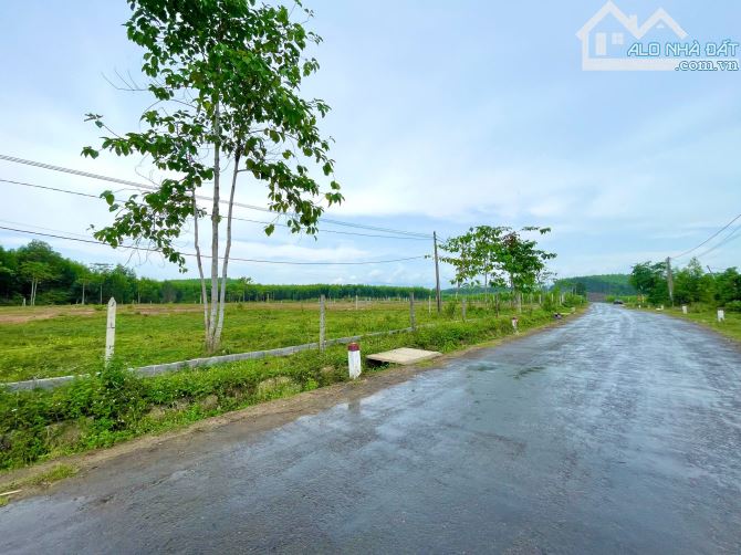 Bán đất 2.059m2 full thổ cư mặt tiền Tỉnh Lộ 8B, Xã Khánh Bình - 2
