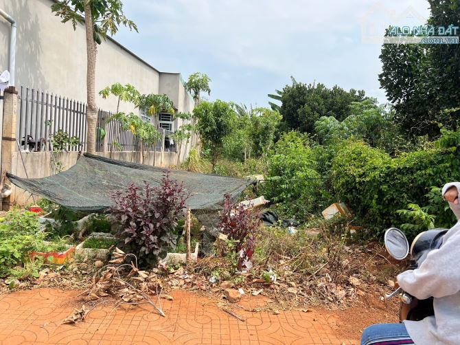 Bán đất hoà long mặt tiền đường! - 2