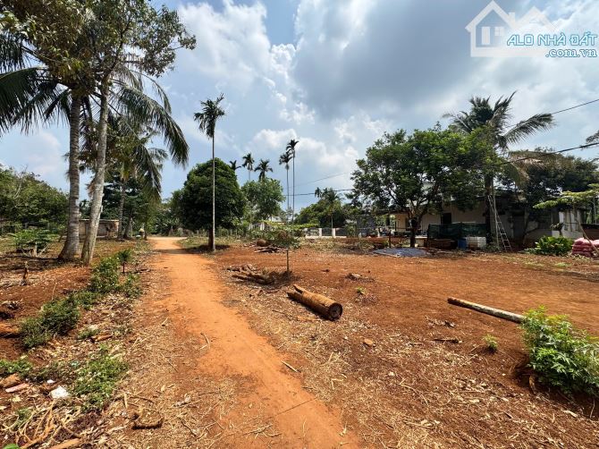 Hẻm 171 Nguyễn Thái Bình Hoà Thắng gần hồ Echu Cáp - 2