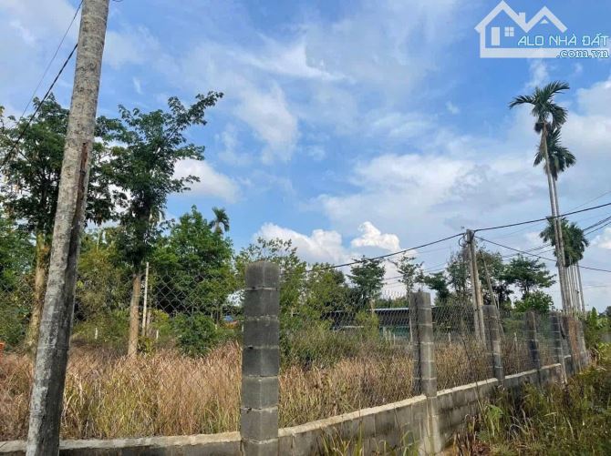 Mặt tiền đường nhựa Hoà Thắng - Hẻm C1 Đại Lộ Đông Tây - 2