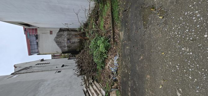 BÁN 58M2 ĐẤT CỔ ĐIỂN B - TỨ HIỆP - THANH TRÌ - 2