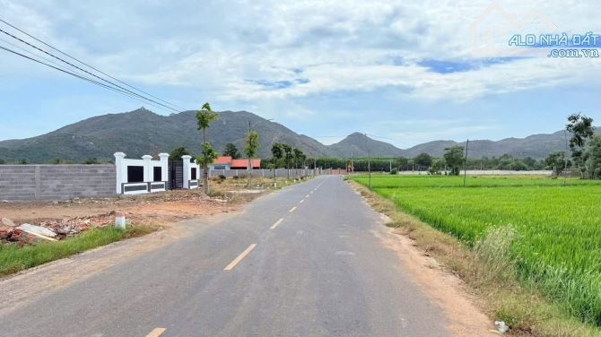 THỊ TRẤN PHƯỚC HẢI - CẠNH BÊN KHU GLAMPING ĐỒNG GIÓ,DT 310m2 -84m2 thổ cư, giá 2ty5 - 2