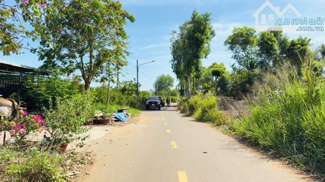 LONG TÂN - LONG ĐẤT - BRVT- ngay gần Tỉnh Lộ 52, khu nhiều nhà vườn ạ - 3