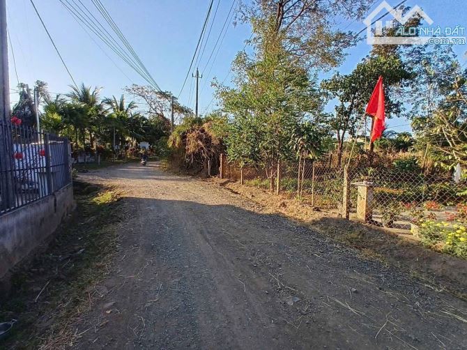 💥💥Đất phố nhà vườn chỉ 72 triệu 1m, rẻ hơn đất huyện tại Thôn 8 - Cư Bua - 3