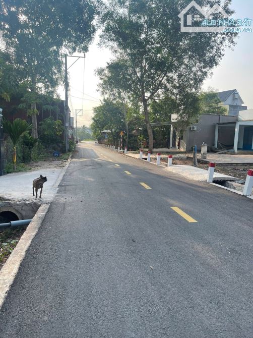 Kẹt tiền cần bán gấp miếng đất ở bình dương nằm vị trí đẹp - 3