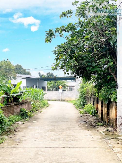 Phú Mãn,Quốc Oai, đất đang rẻ,giá đang tốt,check quy hoạch rõ ràng,đầu tư là thắng ! - 3
