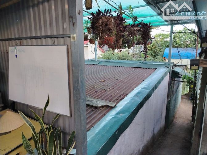 BÁN LÔ ĐẤT ĐẸP ĐƯỜNG KIM ĐỒNG – PHƯỜNG 6, TRUNG TÂM TP. ĐÀ LẠT 📍 - 3