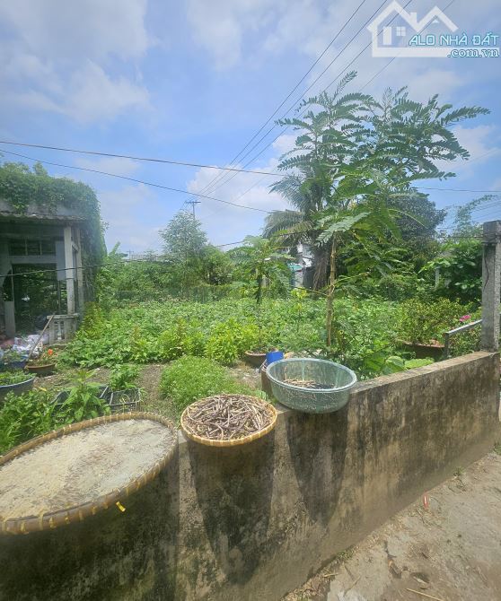 Bán đất thổ cư gần QL54 Bình Minh, Vĩnh Long - 3