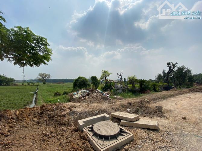 HÀNG HIẾM BÁN LÔ ĐẤT 3 MẶT TIỀN HÓC MÔN SIÊU RẺ 11000M2 GIÁ CHỈ HƠN 8O TỶ THƯƠNG LƯỢNG - 3
