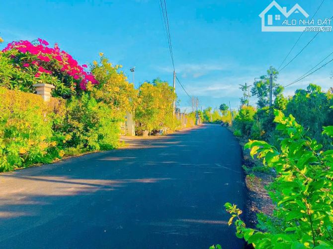 BÁN VƯỜN ĐIỀU 1.3HA TRUNG TÂM XÃ, MẶT TIỀN NHỰA, SẴN THỔ CƯ, GIÁ SIÊU RẺ - 3