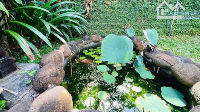 bán nhà vườn đường Nguyễn Trọng Nghĩa TT Đất Đỏ – 418m² giá chỉ 3,3 tỷ - 3