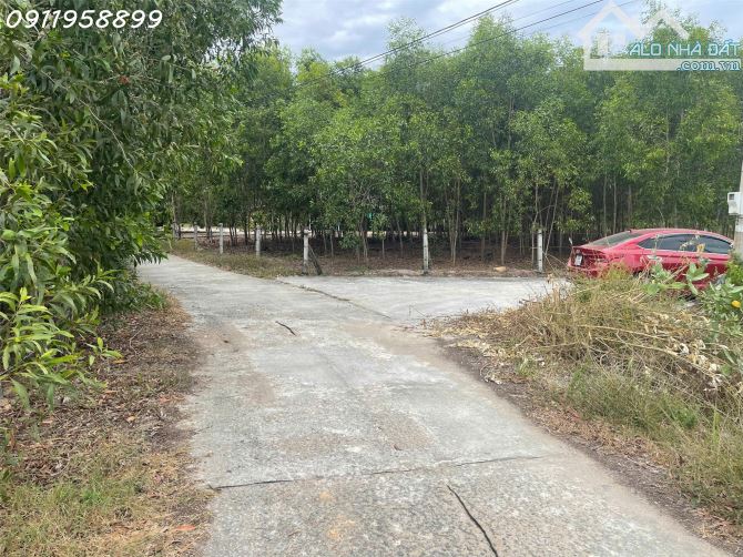 Bán 1912m2 đất ONT Tân Phước - TX LaGi cách Biển 500m giá đầu tư - 3