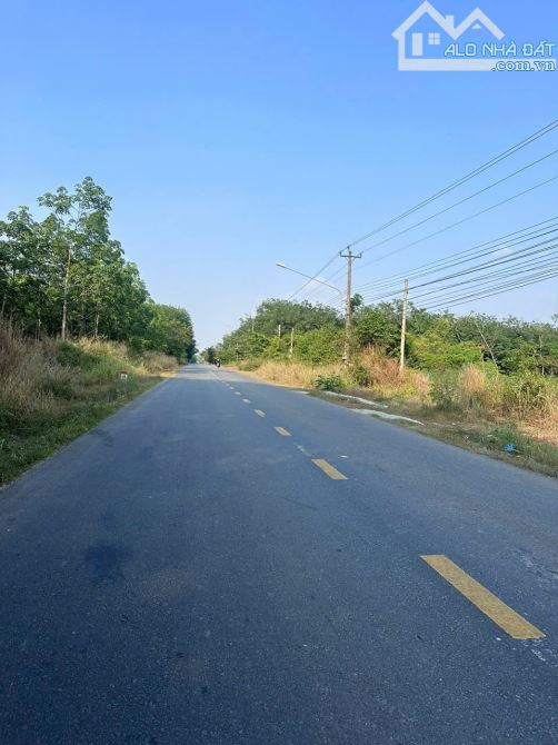 BÁN ĐẤT QUY HOẠCH SKC LONG TÂN DẦU TIẾNG BÌNH DƯƠNG - 3