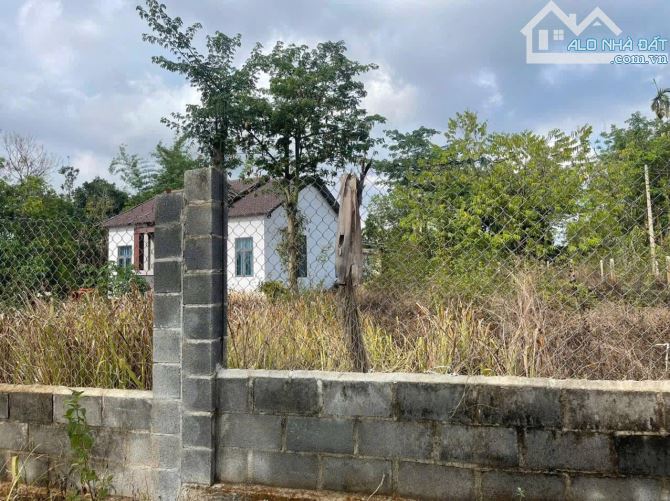 Mặt tiền đường nhựa Hoà Thắng - Hẻm C1 Đại Lộ Đông Tây - 3