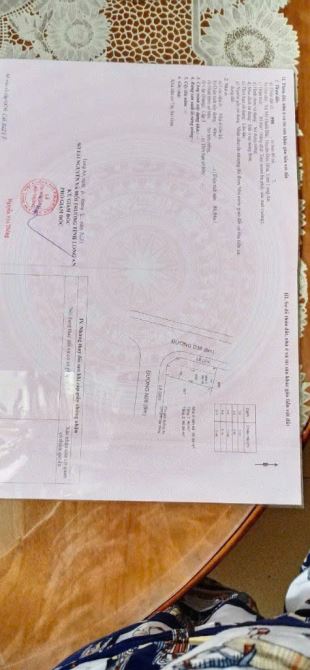 Chủ Kẹt Gữi Bán 1 CẶP Nhà Đẹp Block N8 Dự Án Cát Tường Phú Sinh , Ngay Công Viên Kỳ Quan - 3