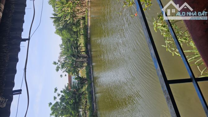 PHÂN LÔ BÀN CỜ – Ô TÔ TRÁNH – THANG MÁY – 2 MẶT THOÁNG – KINH DOANH VĂN - 4