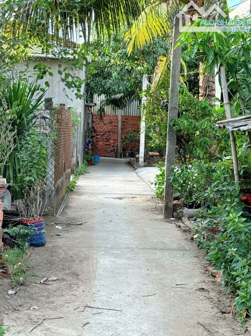 Cần bán gấp lô đất 139m2 ngang 6m P7,TP Bến Tre - 4
