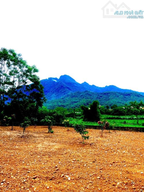 Cần Bán Mảnh Đất Tại Vân Hoà, Ba Vì 1534M2_200m2 Thổ Cư, View Đẹp , Sổ hồng Nở Hậu - 4
