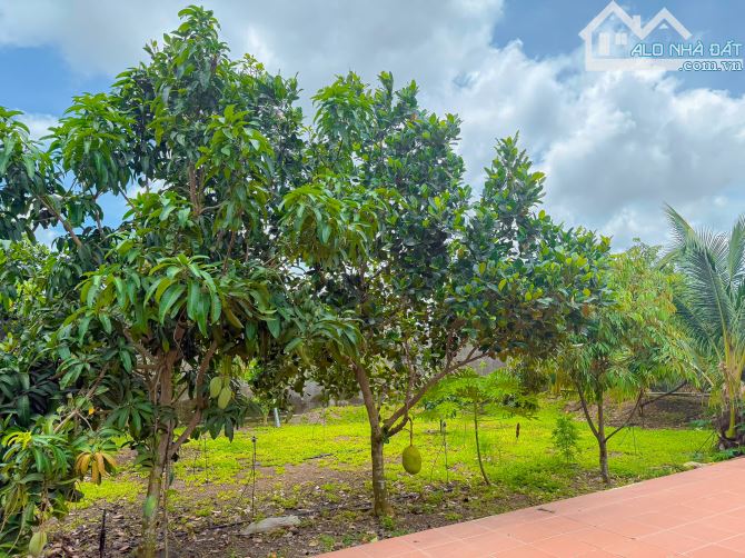 BIỆT THỰ VƯỜN GẦN 1HA, GẦN BIỂN VÀ TP.BÀ RỊA, SẴN THỔ CƯ VÀ VƯỜN CÂY ĂN TRÁI - 4