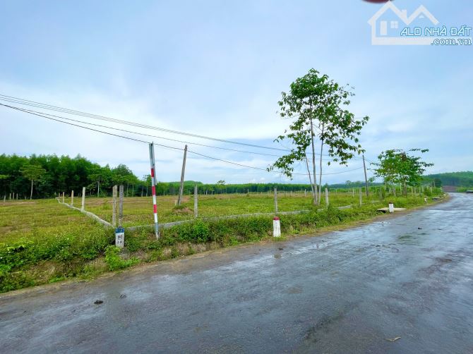 Bán đất 2.059m2 full thổ cư mặt tiền Tỉnh Lộ 8B, Xã Khánh Bình - 4
