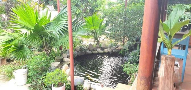 Nhà Sân Vườn  căn góc Vĩnh Phương gần Sông Cái view mát mẻ - 4