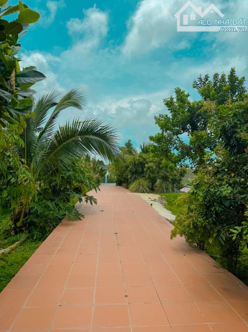 BIỆT THỰ VƯỜN GẦN 1HA, GẦN BIỂN VÀ TP.BÀ RỊA, SẴN THỔ CƯ VÀ VƯỜN CÂY ĂN TRÁI - 5
